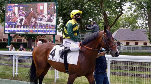 Hippisme : nos préférés pour ce samedi 4 février